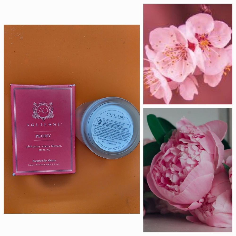 Aquiesse Candle Peony 6oz